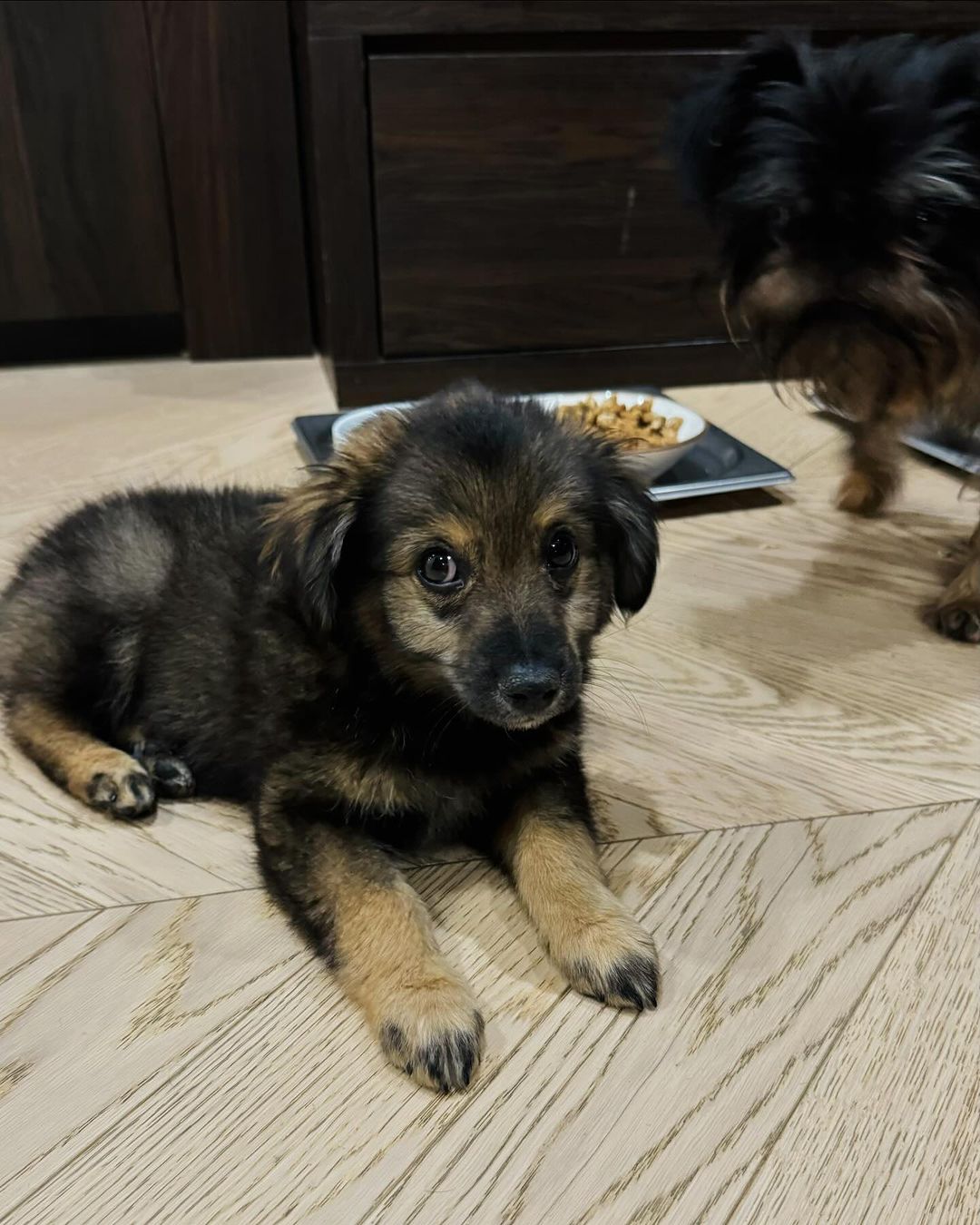 Ектор Хіменес-Браво наважився на поповнення в родині: шеф-кухар зачарував зворушливими фото